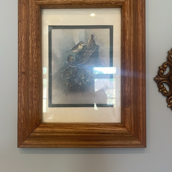 Vintage wood frame bird print glass encased 10x8 - Picture 4 of 4
